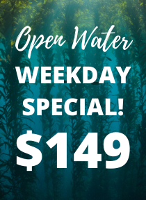 Open Water Class Weekday Special